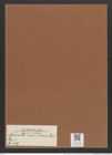 Navicula nummularia Grev. (de-Toni-Nr.: Genus 1, Species 329) Zeichnungen Sammlung Grunow Mappe 00294 (Herbarium_W_Grunow_drawings_Folder_00294)